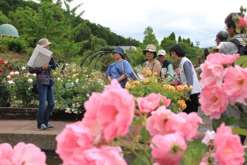 【花の文化園】バラの特別ガイド