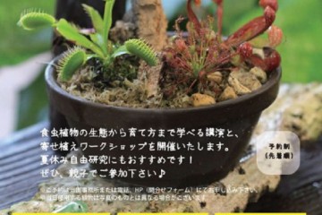 HP用寄せ植え-1-424x600