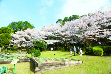 花の文化園